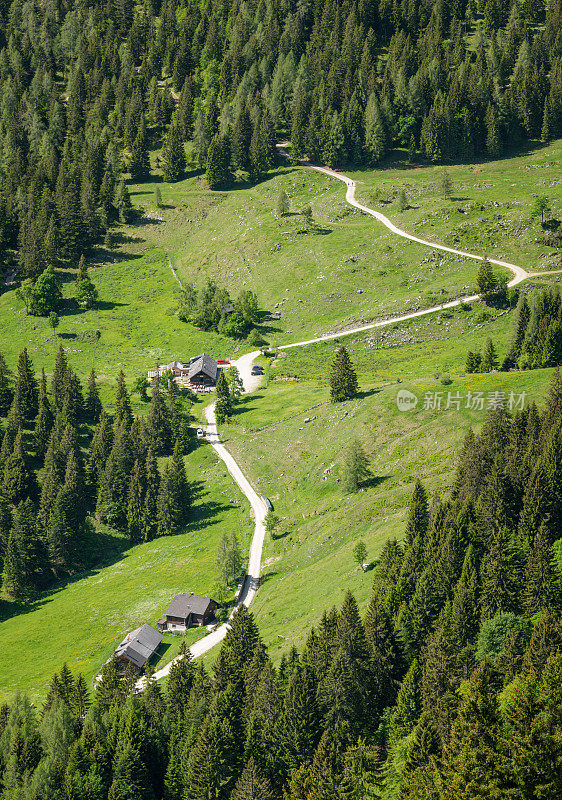 徒步小径，Forststrasse, Zwölferhorn，圣吉尔根，奥地利，奥地利阿尔卑斯山